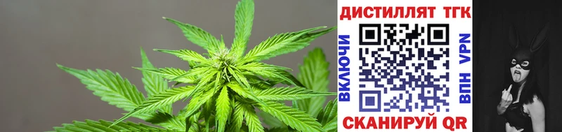 Дистиллят ТГК концентрат  Купить  Котово 
