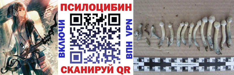 Купить закладки  Котово  Псилоцибиновые грибы ЛСД 
